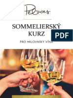 Someliersky - Kurz Vino
