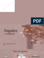 Tipos de Angulos y Triangulos