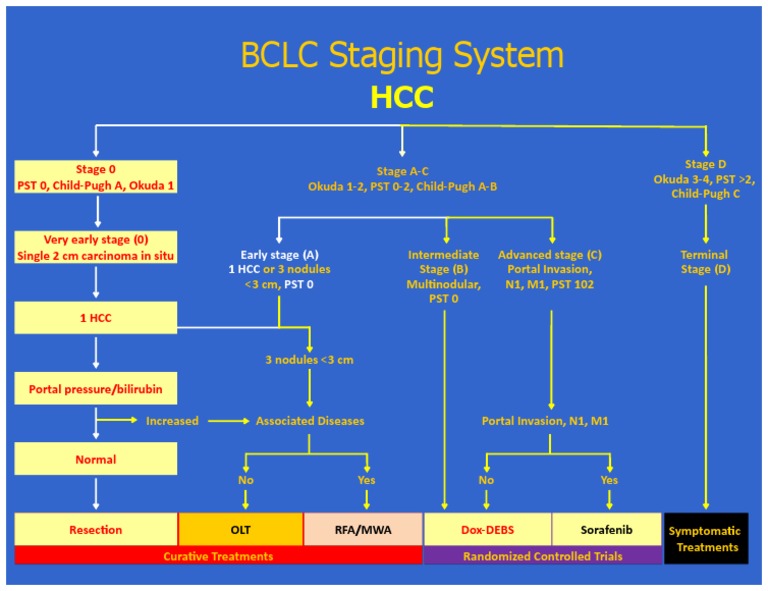 BCLC Staging System: Stage 0 PST 0, Child-Pugh A, Okuda 1 | PDF