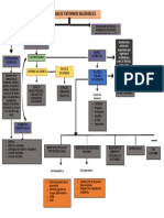 Mapa Conceptaul Actividad 1