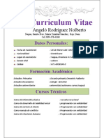 Curriculum Alberto de Jesús