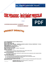 proiect_ed_fizica_cerc_pedagogic_nico_buuuuuun