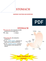 Stomach: Anatomy, Functions and Secretions