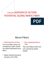 Propagation of Action Potential in Nerve Fibers