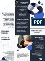 Dimensión Civil y Política SABM