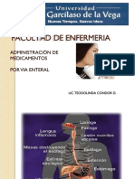 PDF 248523580 Via Enteral PPT PDFPDF DD