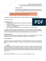 Ejercicio 3. El Párrafo y Las Ideas Principales