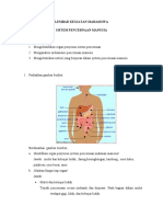 LKM SISTEM Pencernaan