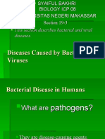 Disease Caused Bacteria Viruses