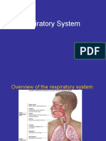 Respiratory Lecture1