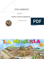 Explotacion Minera, Impactos Ambientales