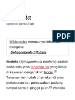 Wedelia - Wikipedia Bahasa Indonesia, Ensiklopedia Bebas