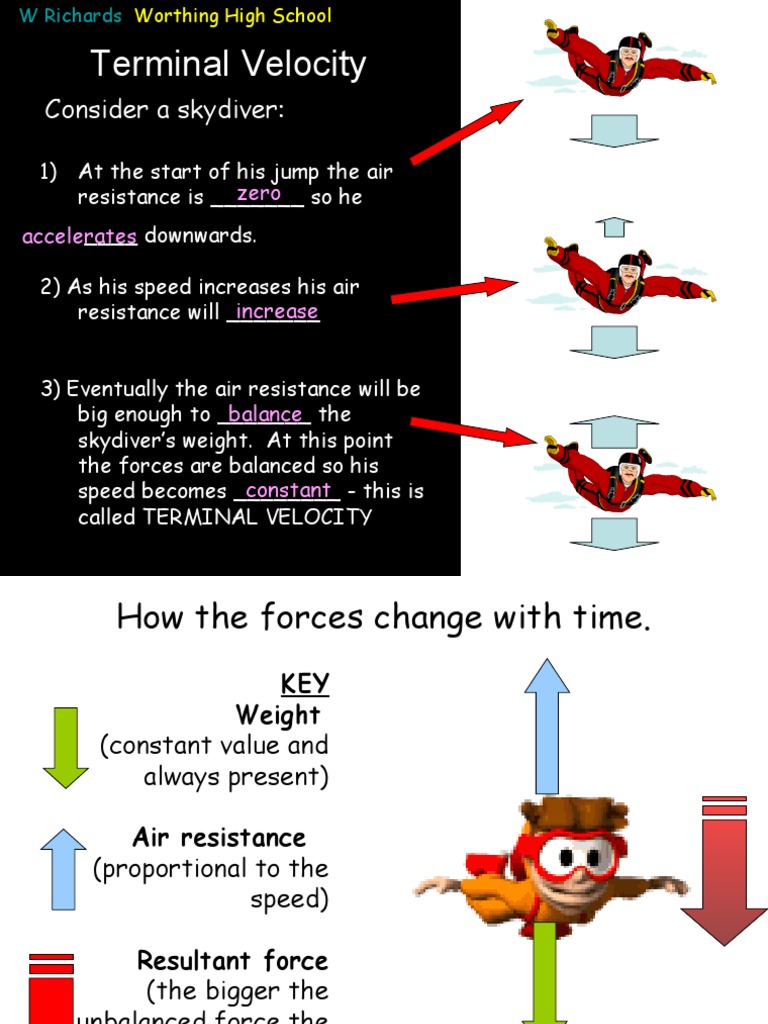 Terminal Velocity: Consider A Skydiver | PDF