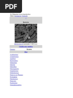 Bacteria beneficiosas y patgenas