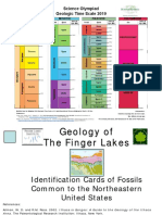 Fossils - Camas Cheat Sheet