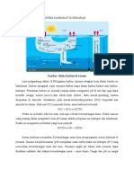 Siklus Karbon Dan Sistem Karbonat Di Perairan