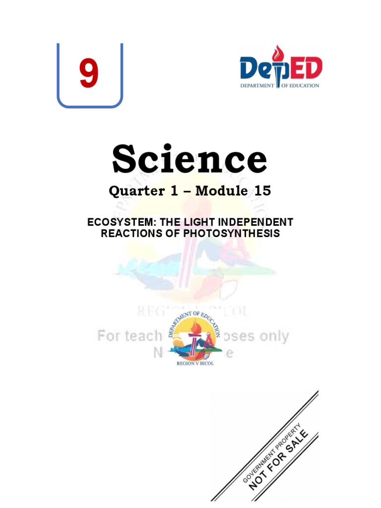 15 Quarter 1 Module 15-light-INDEPENDENT-reactions | PDF ...