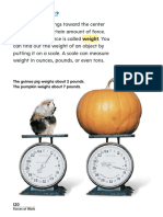 What Is Weight?: The Guinea Pig Weighs About 2 Pounds. The Pumpkin Weighs About 7 Pounds