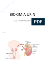 Biokimia Urin