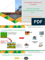 Presentación Trabajo Desarrollo Sostenible