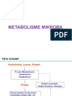 Matabolisme Mikroba