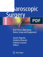 Laparoscopic Surgery: Key Points, Operating Room Setup and Equipment Giusto Pignata Umberto Bracale Fabrizio Lazzara