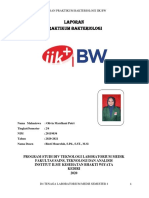 P Bakteri II Identifikasi E Coli Olivia Mardhani Putri 20119034