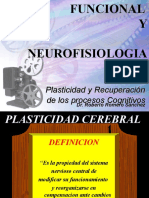 Plasticidad Cerebral Imaginologia 2014