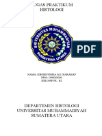 HISTOLOGI TELINGA, HIDUNG, DAN TENGGOROKAN