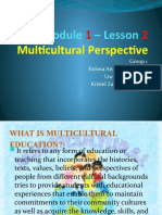 Multicultural Perspective Lesson 2