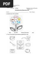 Guia Necesidades de Una Planta Primero Basico