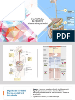 7.fiziologia Digestiei Alimentatia Sportivului