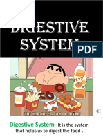 0 - Digestive System