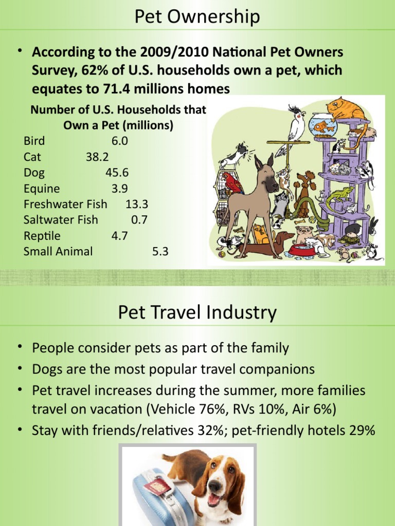 Pet Airways PPT v1 PDF Airlines Pet