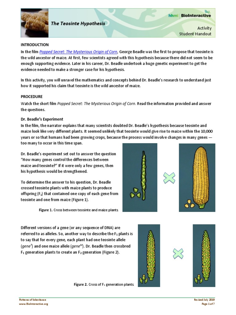 the-teosinte-hypothesis-popped-secret-the-mysterious-origin-of-corn-pdf-genotype-dominance-genetics