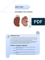 Sistem Ekskresi Manusia