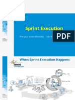 Agile Software Development Sprint Executions