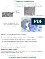 PDF Sec TP5 Bilan