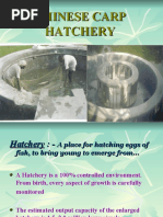 Download Chinese Circular Fish Hatchery by joshigauta SN50027465 doc pdf