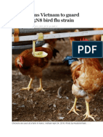 WHO Warns Vietnam To Guard Against H5N8 Bird Flu Strain