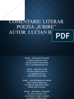 Comentariu Literar (Popov Denis)