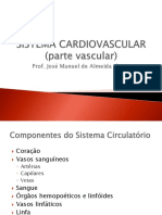 Sistema circulatório e linfático