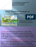 Transferul de Energie in Ecosisteme
