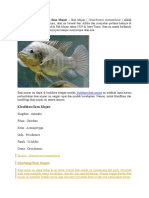 Klasifikasi Dan Morfologi Ikan Mujair