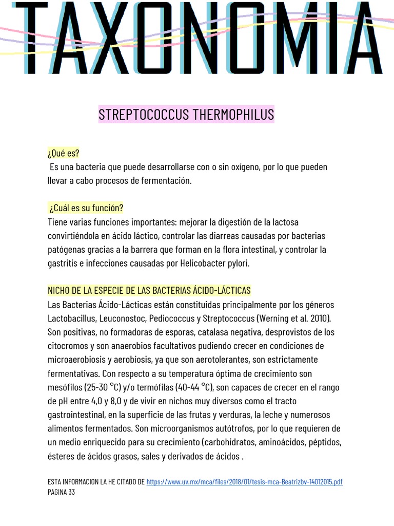 Beneficios de Streptococcus thermophilus | PDF | Ciencia y matemáticas ...
