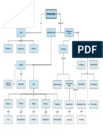 Nervous System Concept Map