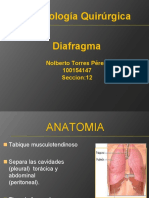 Exposicion Diafragma