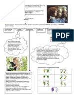Scheda - Genetica Mendel 2