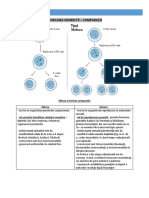 Biologie Clasa-Ix Fisa Diviziunea Indirecta