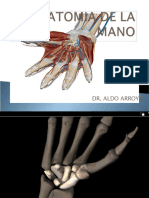Anatomiadelamano 140119221356 Phpapp01